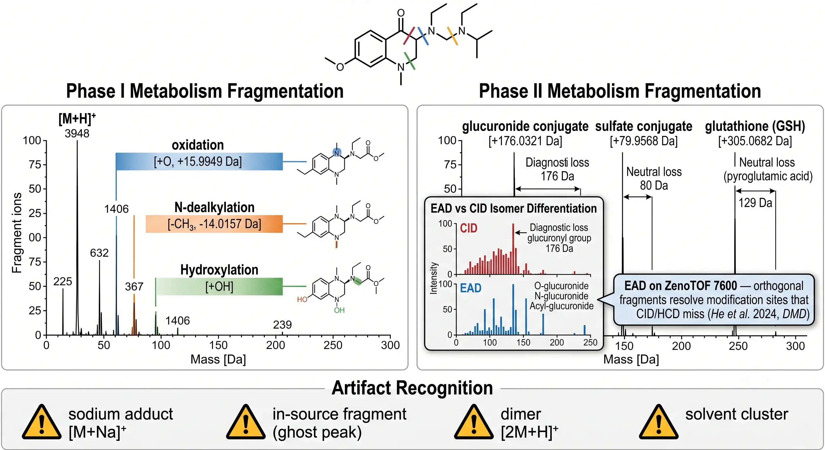 MS2 spectral annotation comparing Phase I metabolism fragmentation (oxidation, N-dealkylation, hydroxylation) and Phase II (glucuronide, sulfate, GSH conjugates) with EAD vs CID isomer differentiation