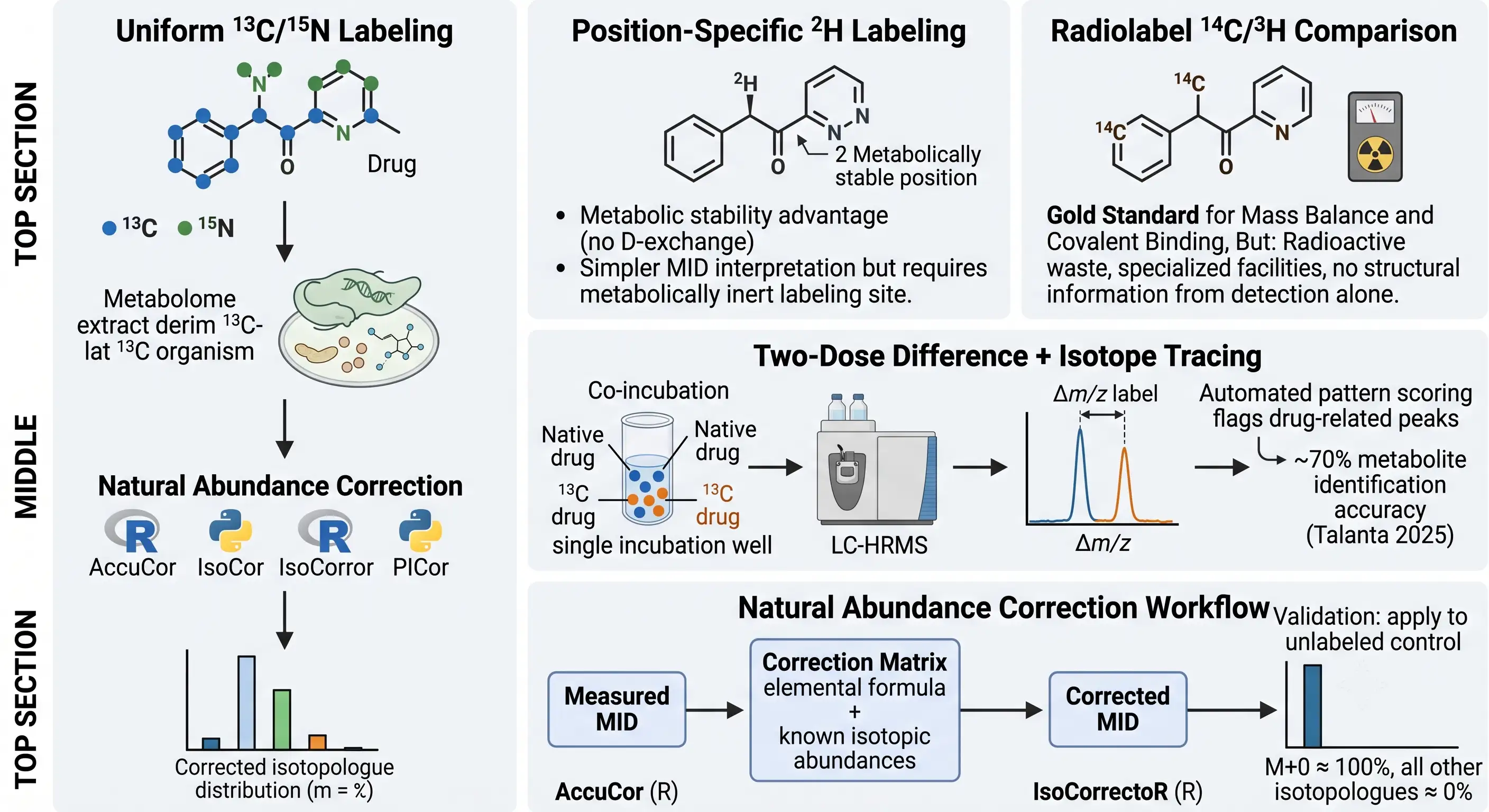 Stable isotope labeling strategies including uniform 13C/15N, position-specific 2H, two-dose difference + SIT co-incubation workflow, and natural abundance correction with AccuCor and IsoCor software