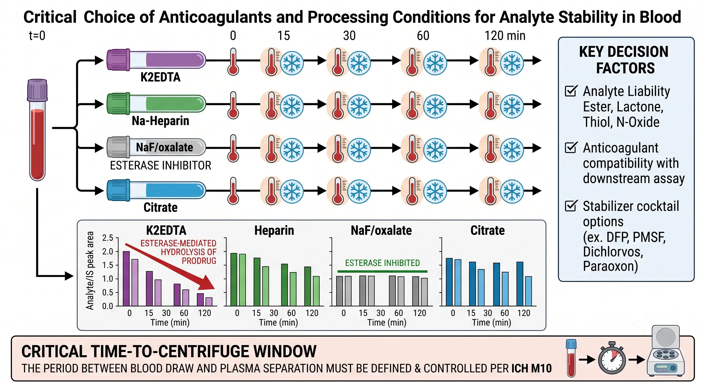 Ex vivo blood stability assessment comparing anticoagulant types and stabilizer strategies