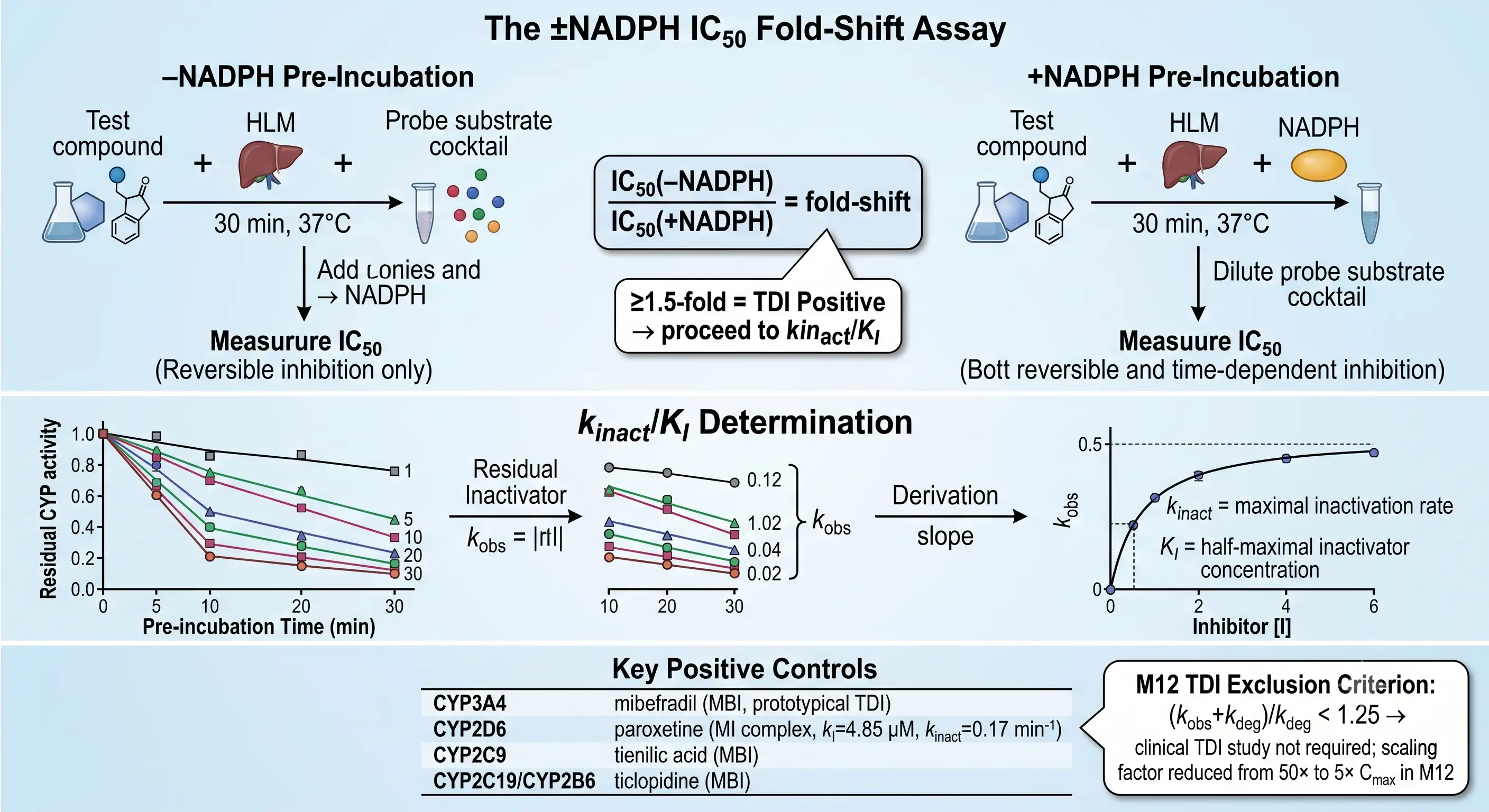 TDI ±NADPH IC50 fold-shift assay workflow with parallel pre-incubation arms and kinact/KI multi-point inactivation plot determination