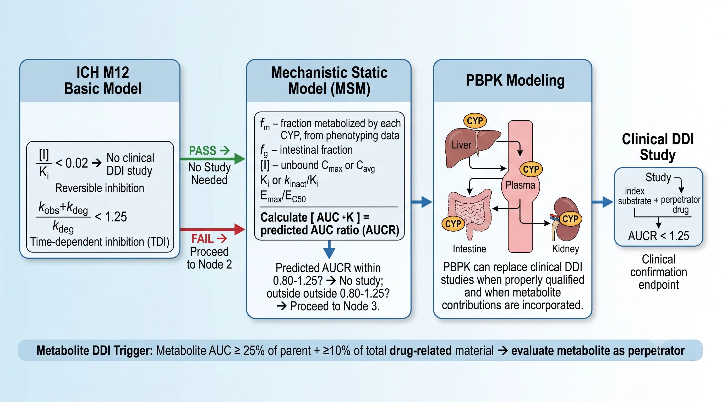 Three-node decision tree from ICH M12 Basic Model through Mechanistic Static Model to PBPK for clinical DDI prediction
