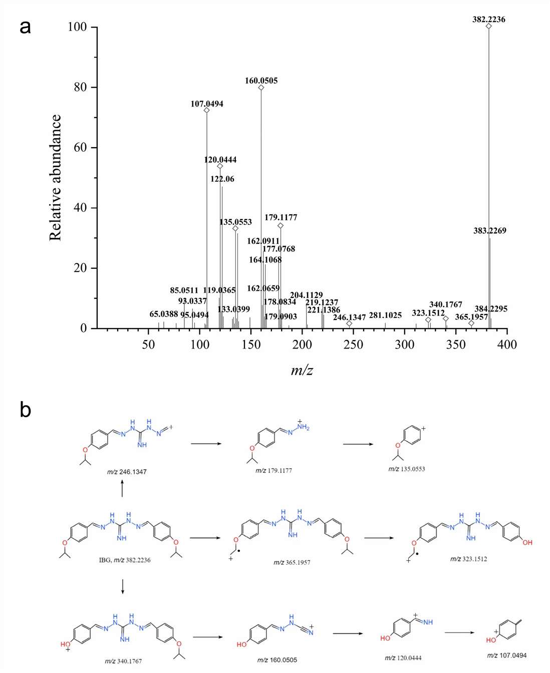 Metabolite Identification of IBG via UHPLC-Q-TOF-MS/MS