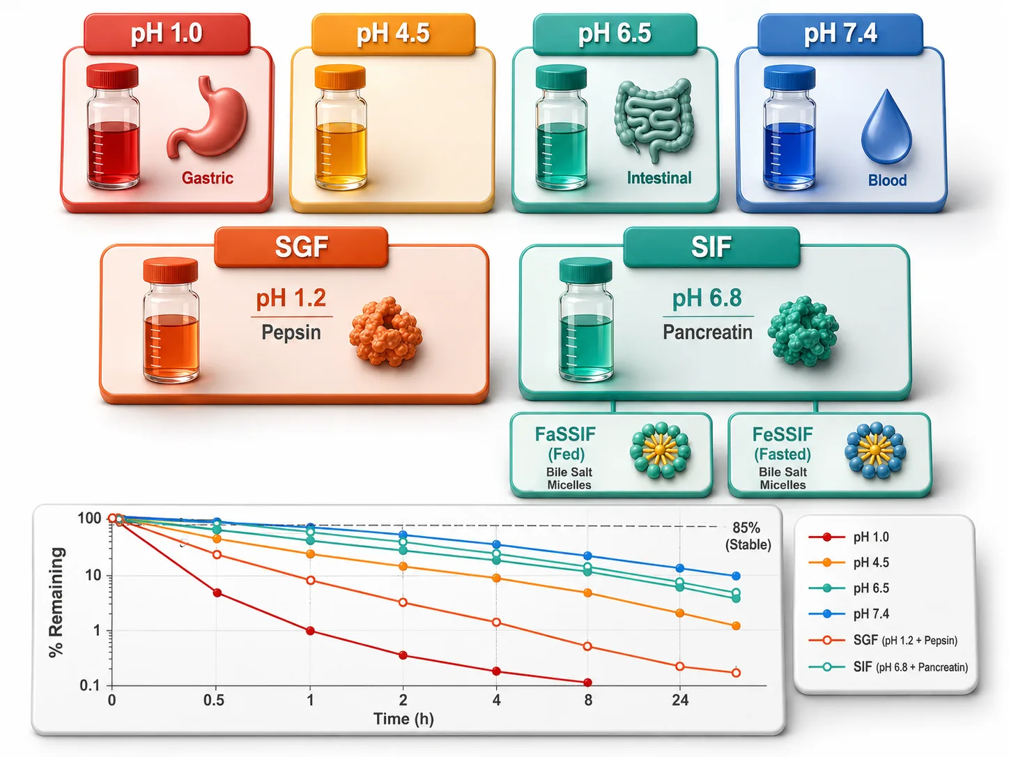 pH-dependent degradation profiles across gastric to intestinal pH with SGF/SIF/FaSSIF comparison