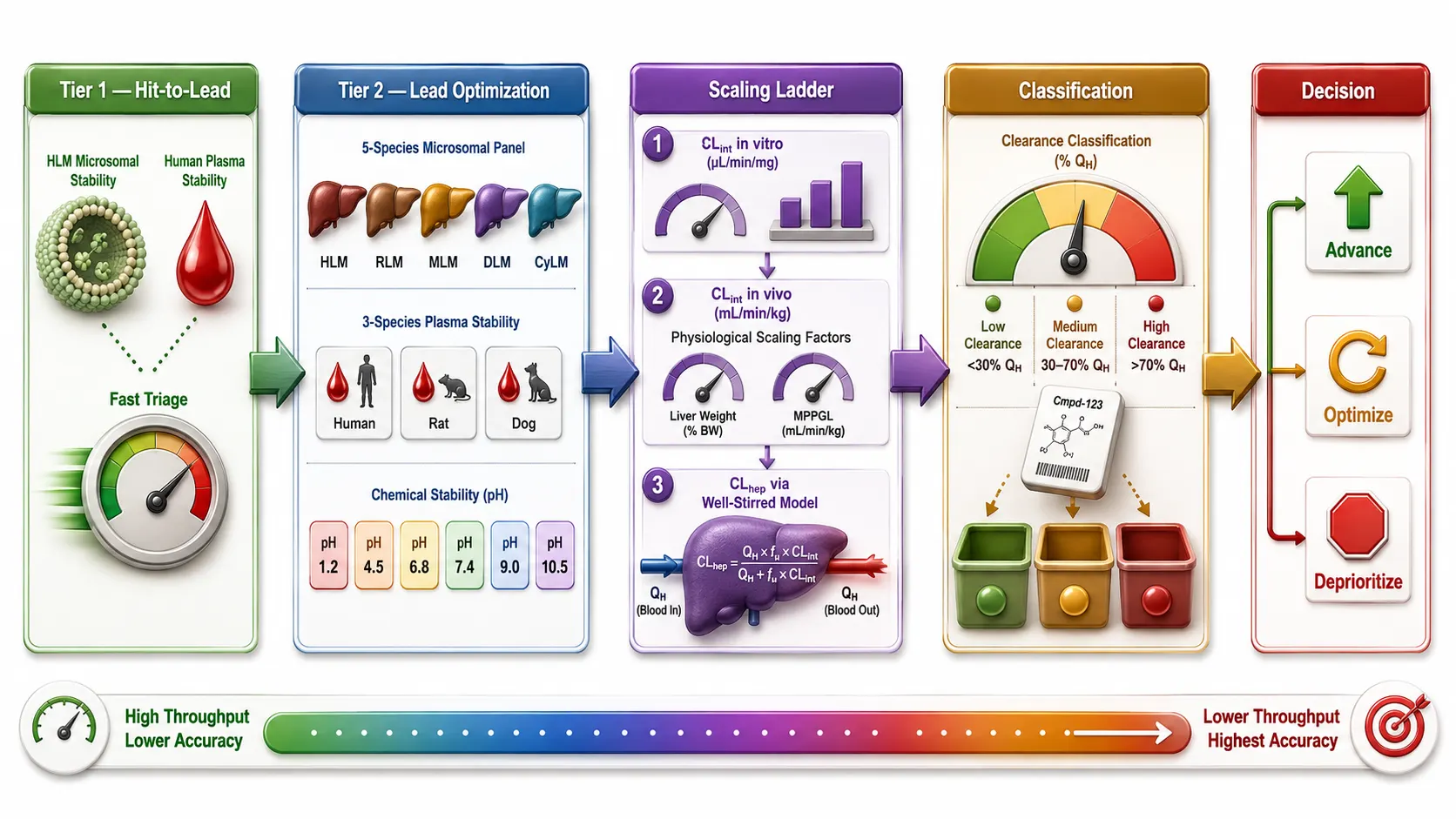 Complete IVIVE workflow from in vitro half-life through scaling factors to well-stirred model prediction