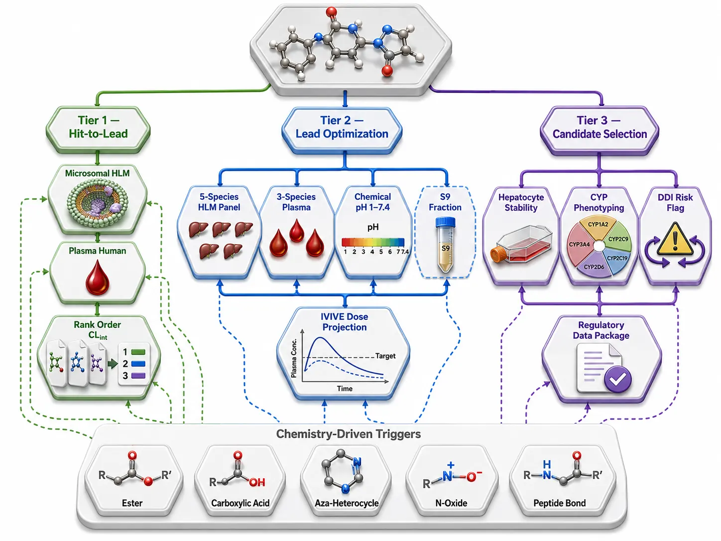 Three-tier decision tree for stability assay selection from hit-to-lead through candidate selection with chemistry-driven triggers