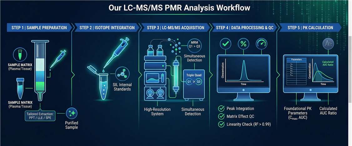 LC-MS/MS PMR Analysis Workflow showing sample preparation, HRMS acquisition, and parameter calculation.