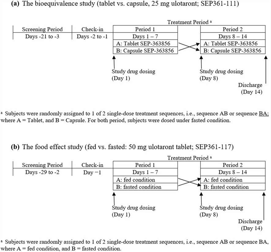 LC-MS/MS pharmacokinetic concentration-time curve plotting parent drug versus minor metabolite exposure in plasma.