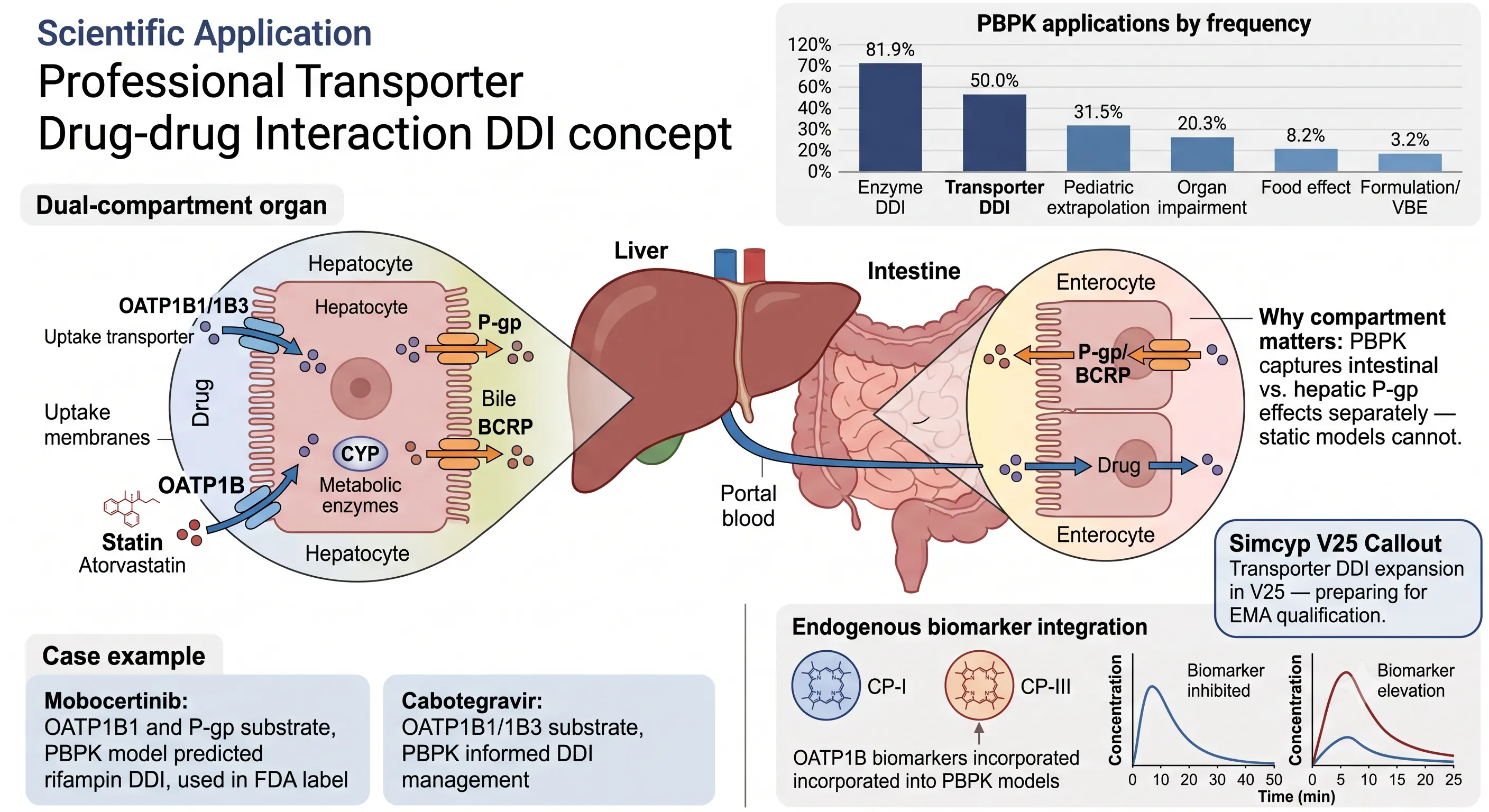 Transporter-mediated DDI PBPK fastest growing application OATP1B P-gp