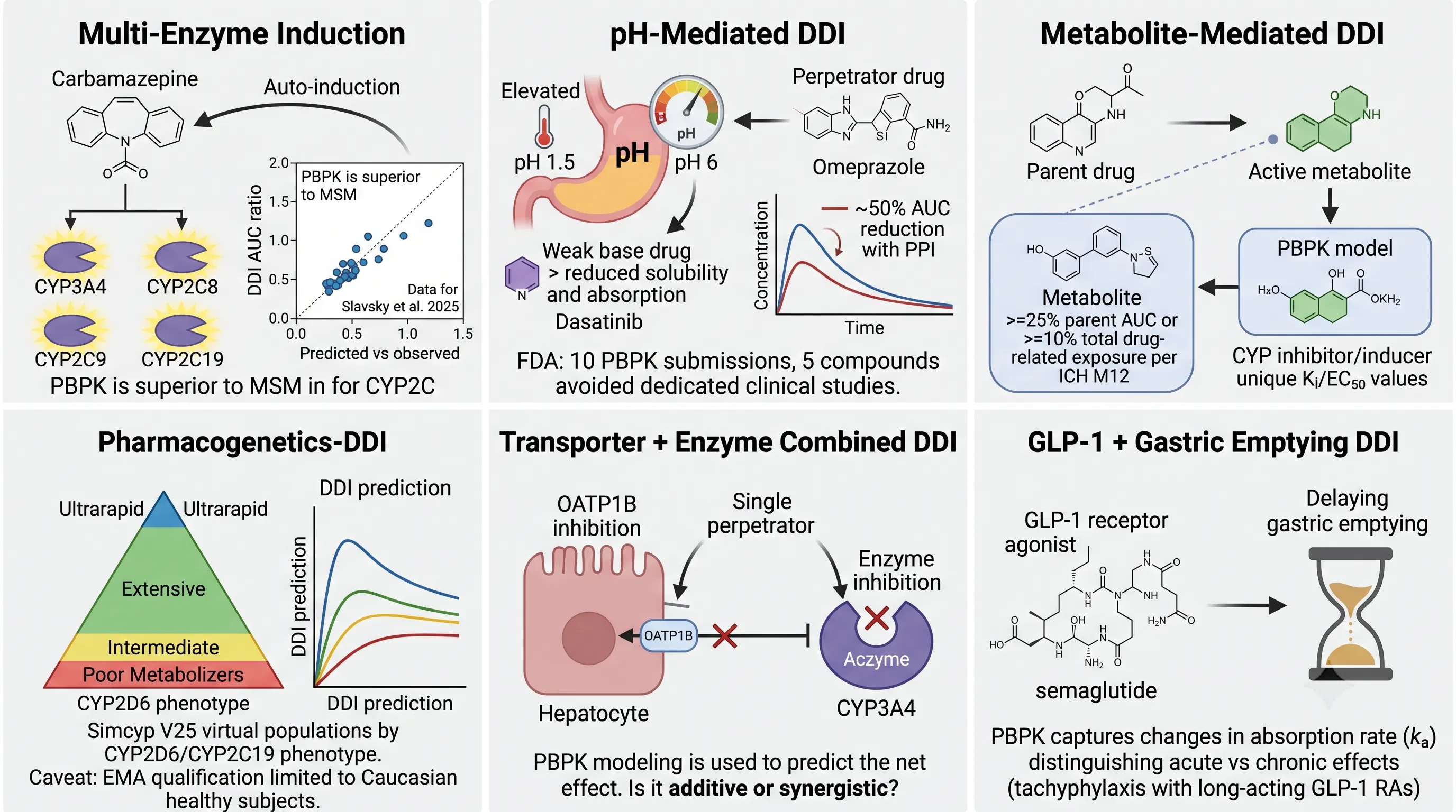 Complex DDI scenarios carbamazepine pH-mediated metabolite pharmacogenetics PBPK