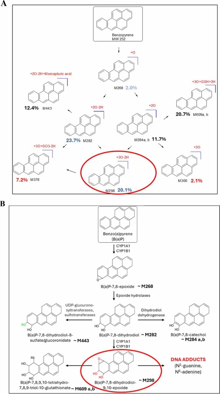 Bioactivation identification workflow using HRMS and MDF (Reference: Figure 4)