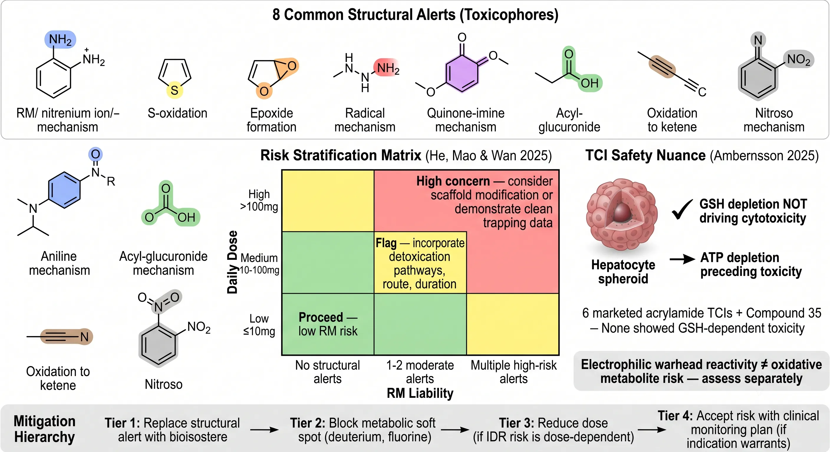 Structural alert risk stratification framework reactive metabolite toxicophores