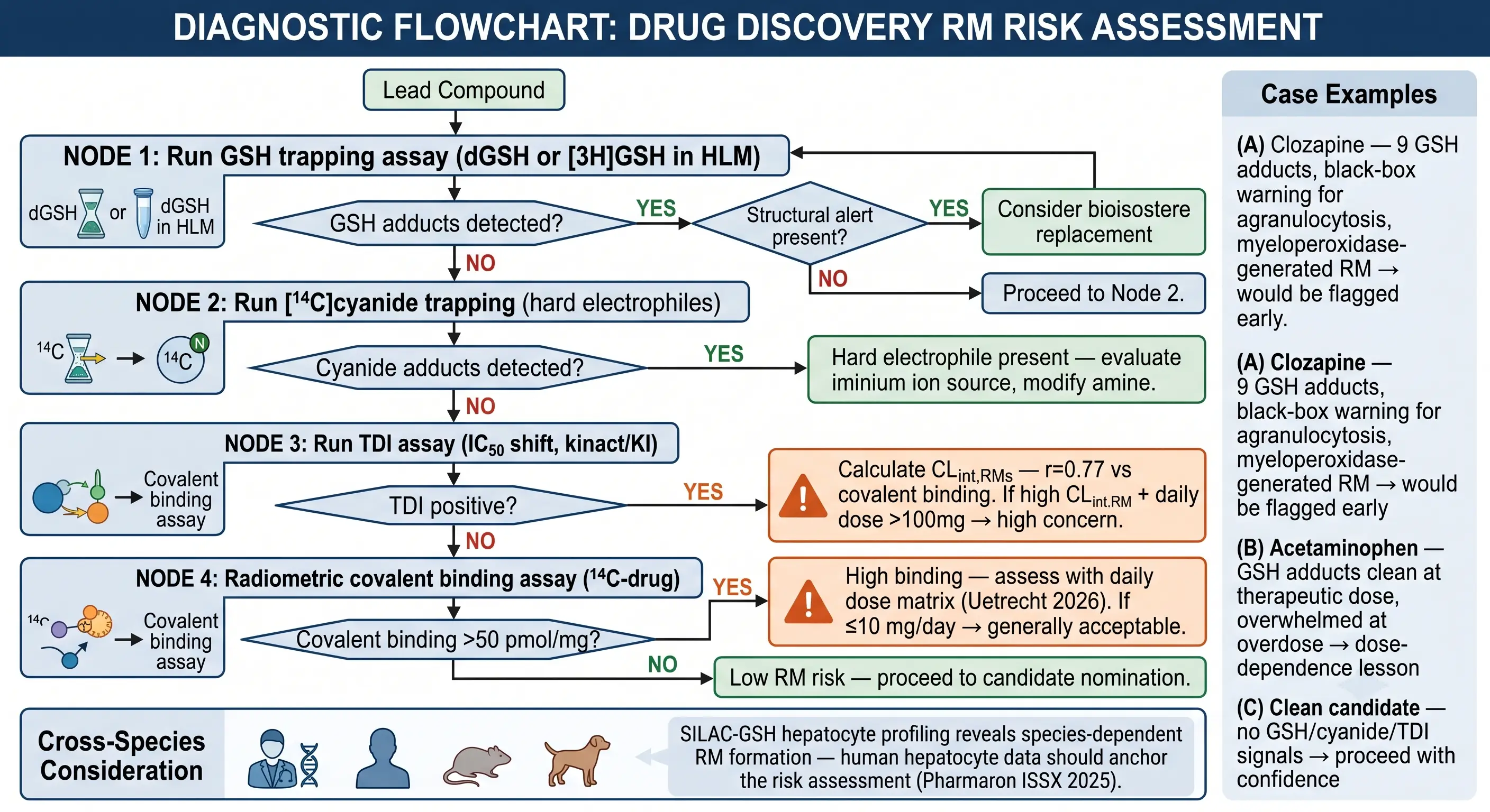 Reactive metabolite risk decision tree screening to candidate selection