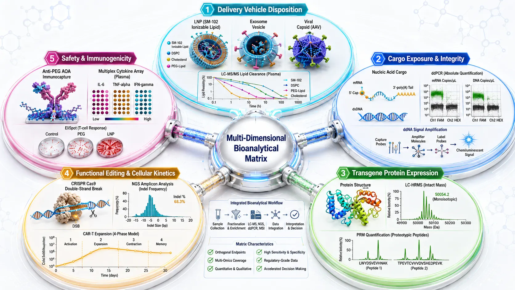 Multi-Dimensional Bioanalytical Endpoint Matrix for Next-Generation Modalities
