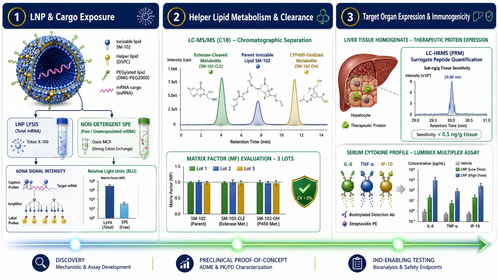 Integrated mRNA-LNP Bioanalytical Endpoint Testing Cascade