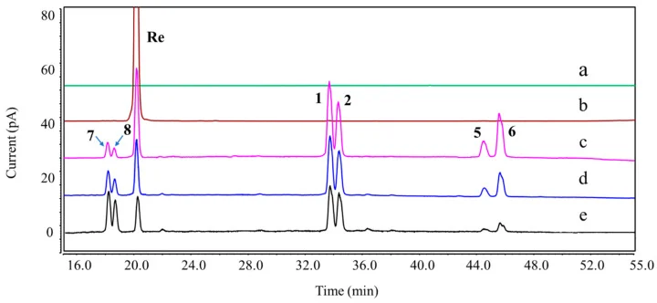 Structural Elucidation of Forced Degradation Products