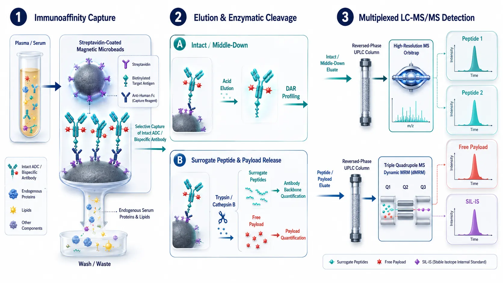 Hybrid LBA-LC-MS/MS Integrated Workflow