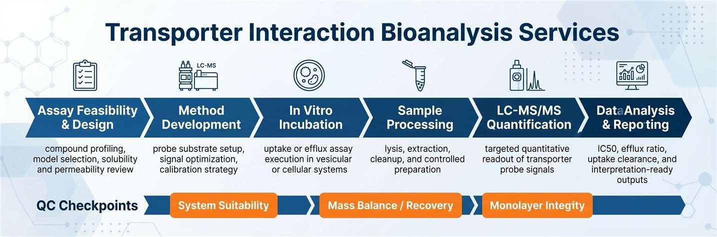 Standardized 6-step workflow and QC checkpoints for transporter interaction bioanalysis