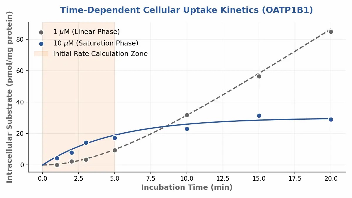 Time-Dependent Uptake Kinetics Plot